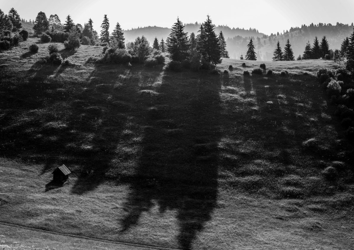 Vonalkódok – árnyék és fény 5. 