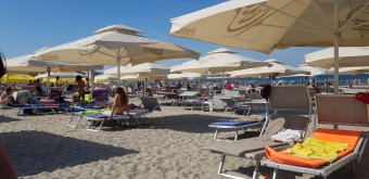 Aggasztó az élelmiszerbiztonság a román tengerparti üdülőtelepeken