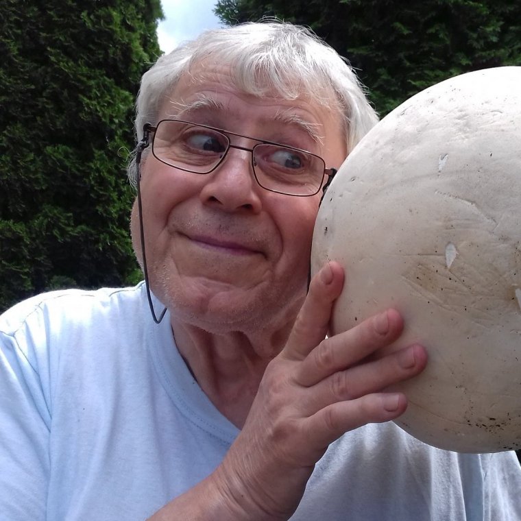 Elhunyt Bogdán Tibor újságíró, publicista