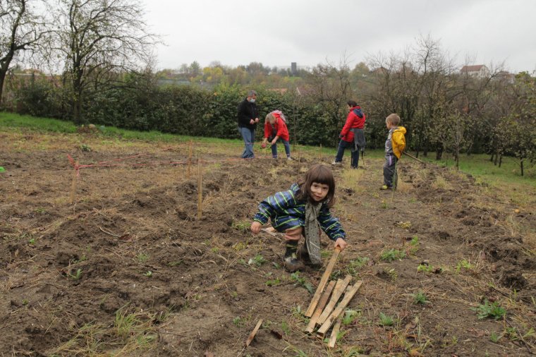 Közösségben művelik Péter bácsi kertjét Nagyváradon