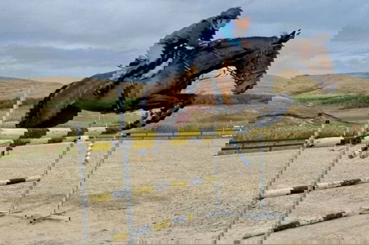 Csúcsra repítő bizalom: évek óta jól szerepel Veszta nevű lovával a tordaszentlászlói Balázs Dorottya