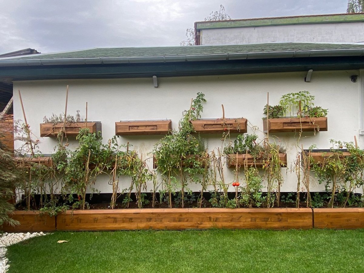 A Daisler Egyesület különdíjasa 