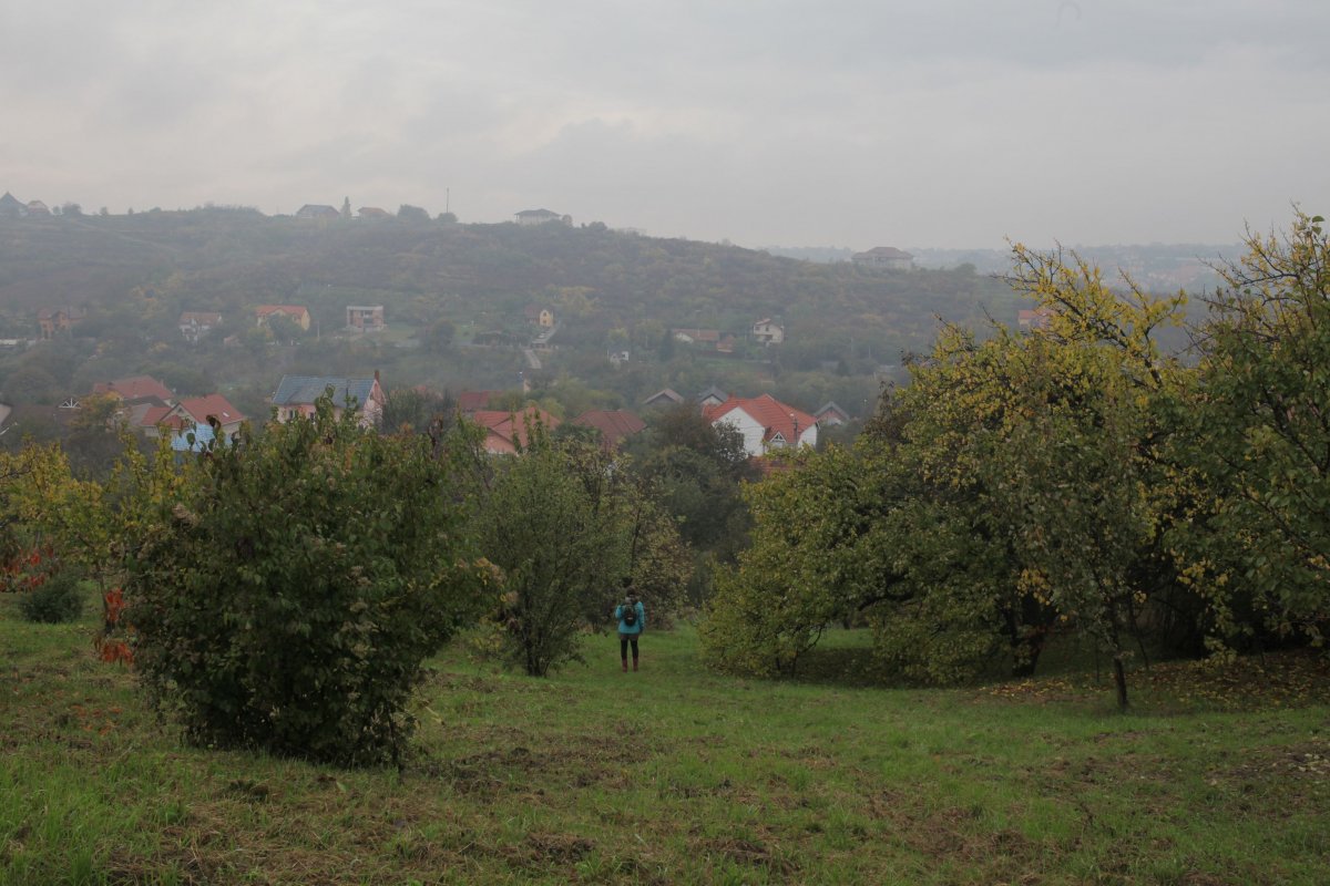 •  Fotó: Gáspár Norbert