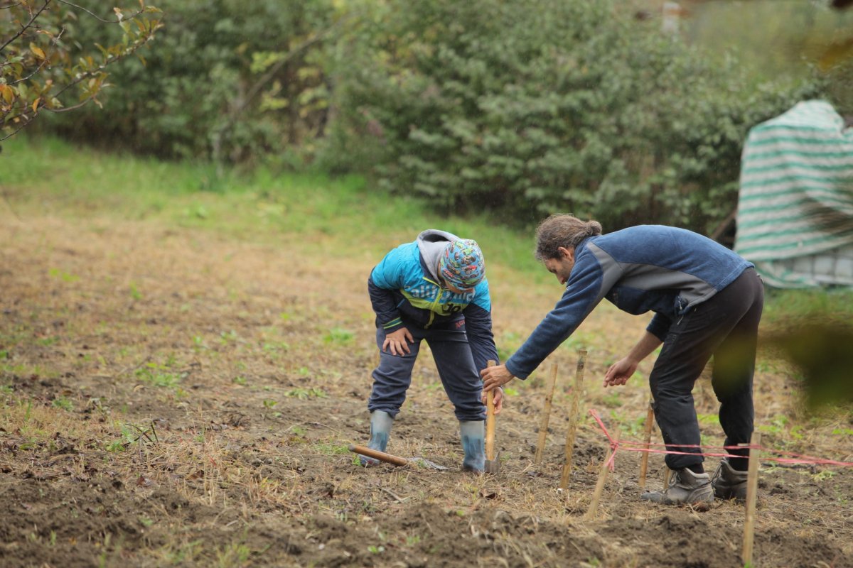 •  Fotó: Gáspár Norbert