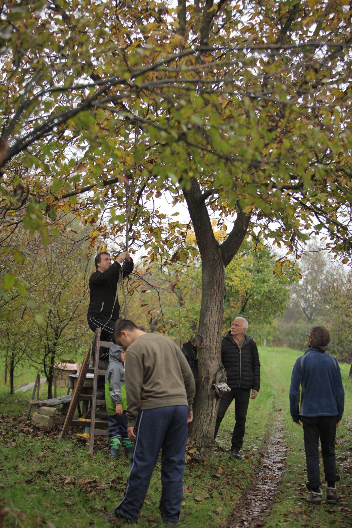 •  Fotó: Gáspár Norbert