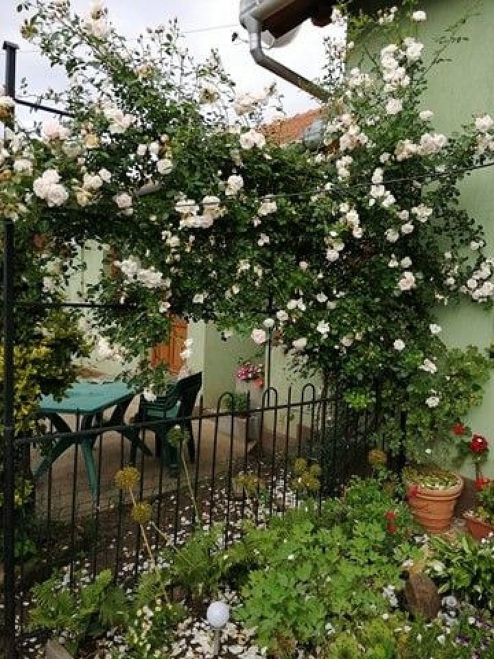 A legszebb Kolozs megyei pályázat 