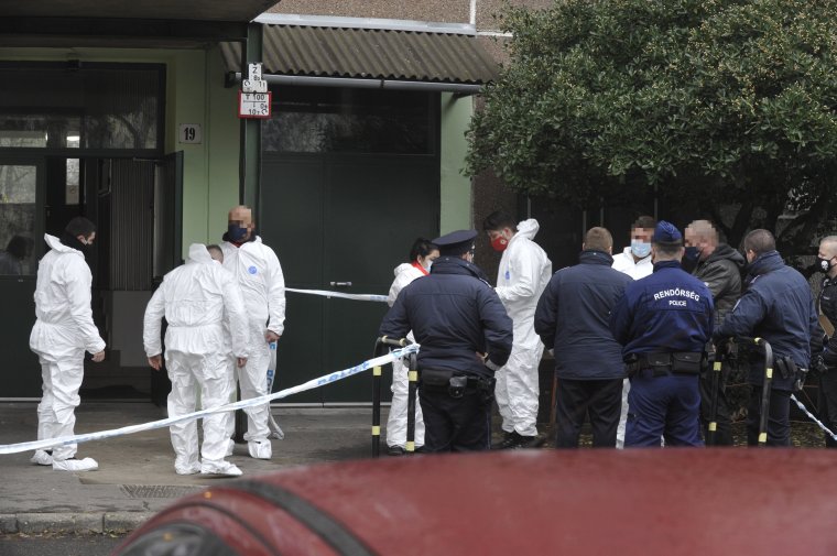 Lelőtte egy rendőrnő a járőrtársa életére törő férfit Budapesten