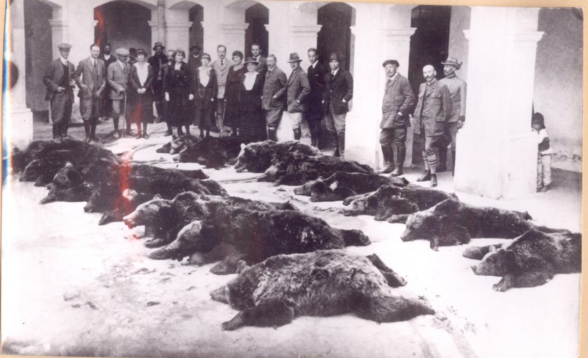 A vadászok számára is csemegét jelenthet a kiállított anyag •  Fotó: Archív