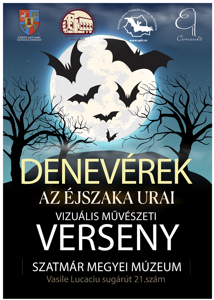 Interaktív élményekkel, versennyel tarkított kiállítás Szatmárnémetiben