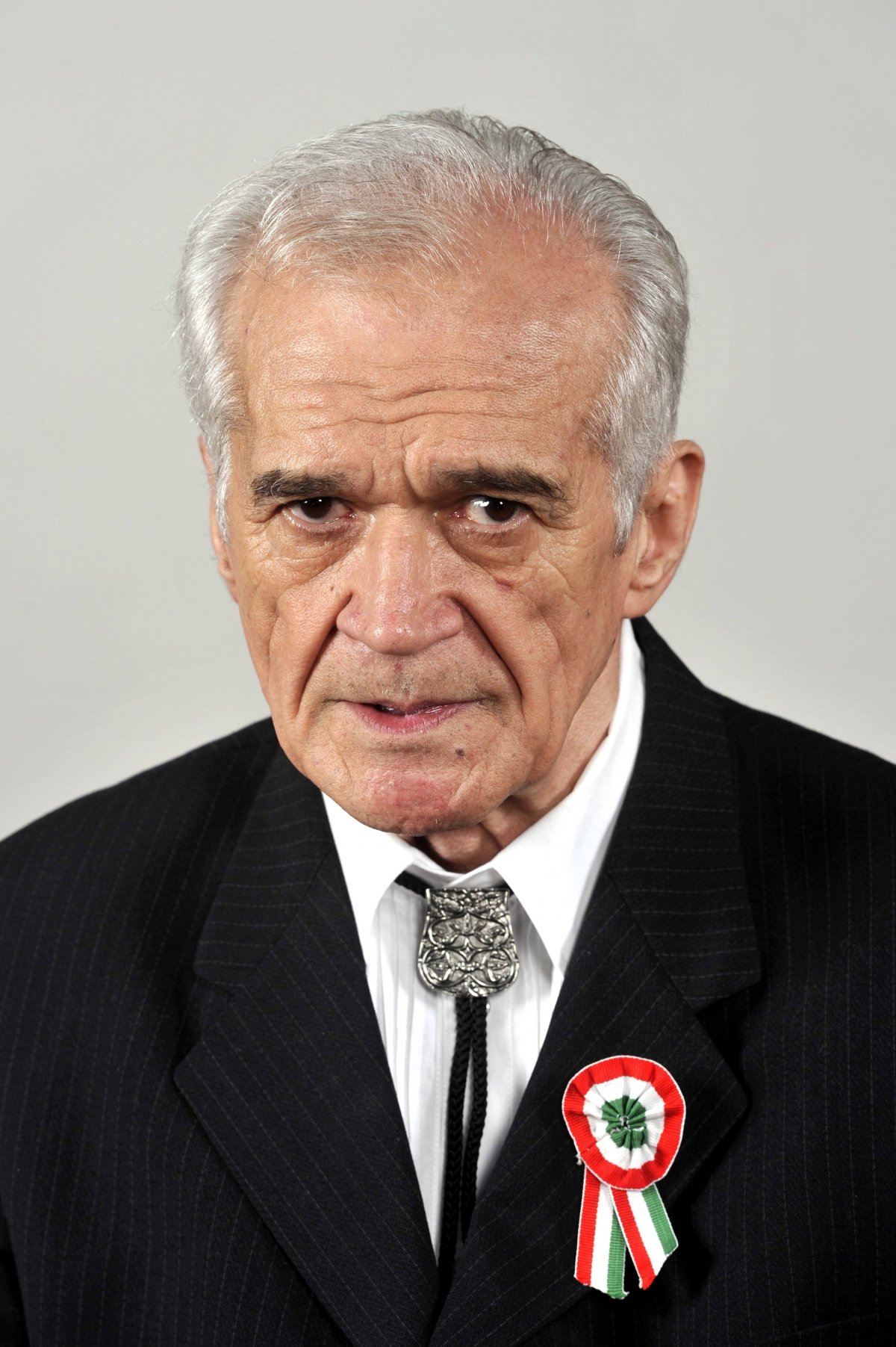 Farkas Árpádról készült portré a Kossuth-díj átvételekor •  Fotó: MTI/Kovács Attila