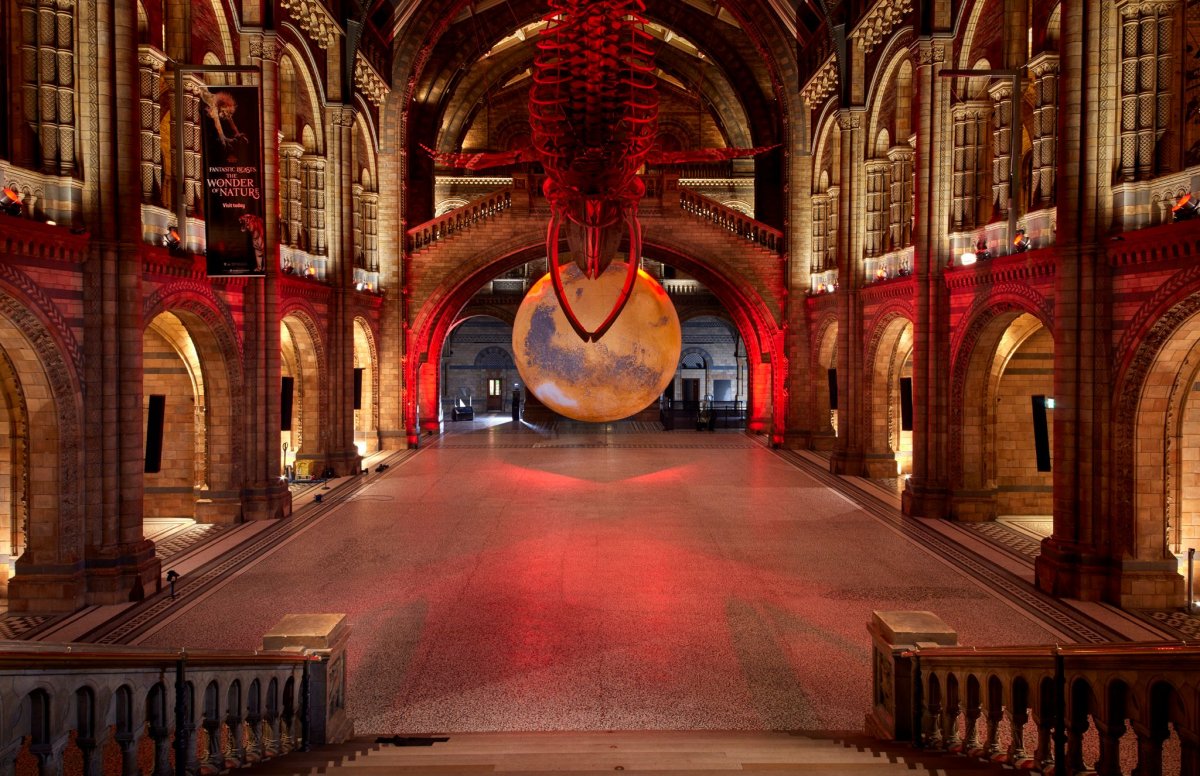 •  Fotó: Facebook/Iulius Mall Cluj Napoca