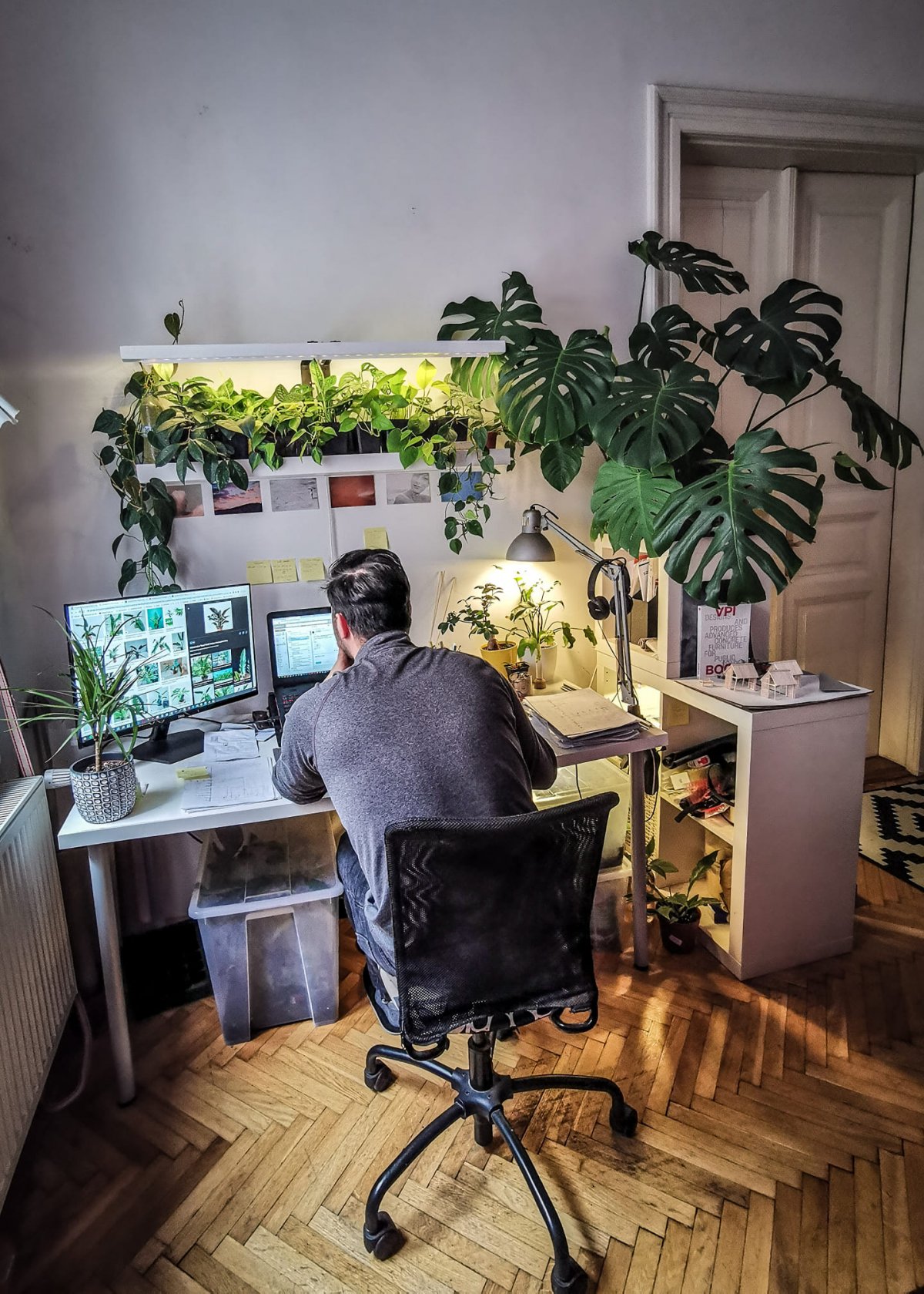 Zöld iroda. A növények bizonyíthatóan csökkentik a stresszt, így ellazítják és feltöltik az embert •  Fotó: Facebook/Török Csongor