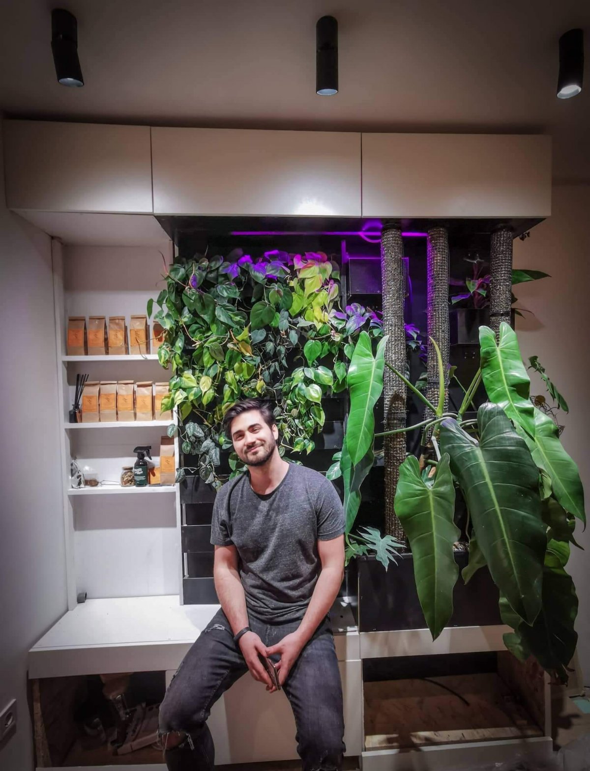 Természetes tapéta. Török Csongor szerint a zöld falak népszerűsége a növények trendjéhez köthető •  Fotó: Facebook/Török Csongor