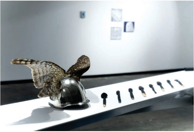 Zoltán Béla marosvásárhelyi születésű, Bukarestben alkotó képzőművész egyik installációja •  Fotó: Facebook/Zoltán Béla