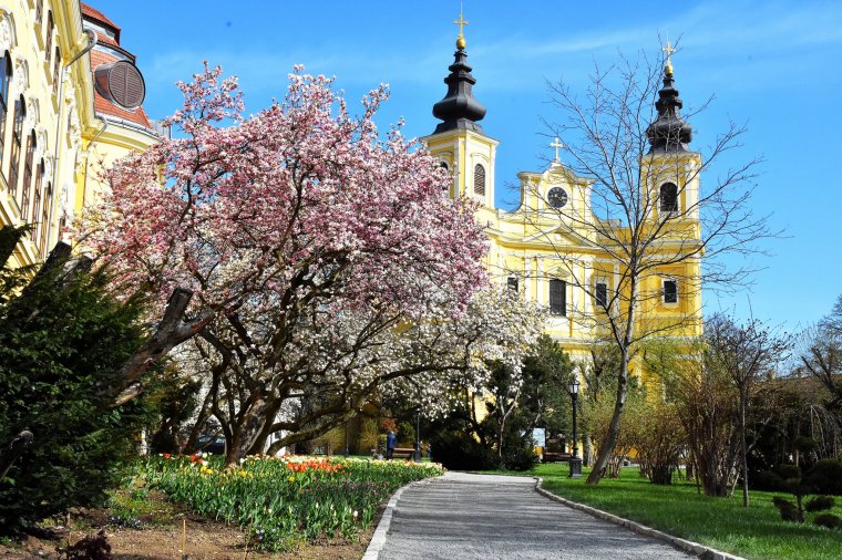 Visszakapta méltó helyét a váradi palotakert, teljes pompájában megcsodálható
