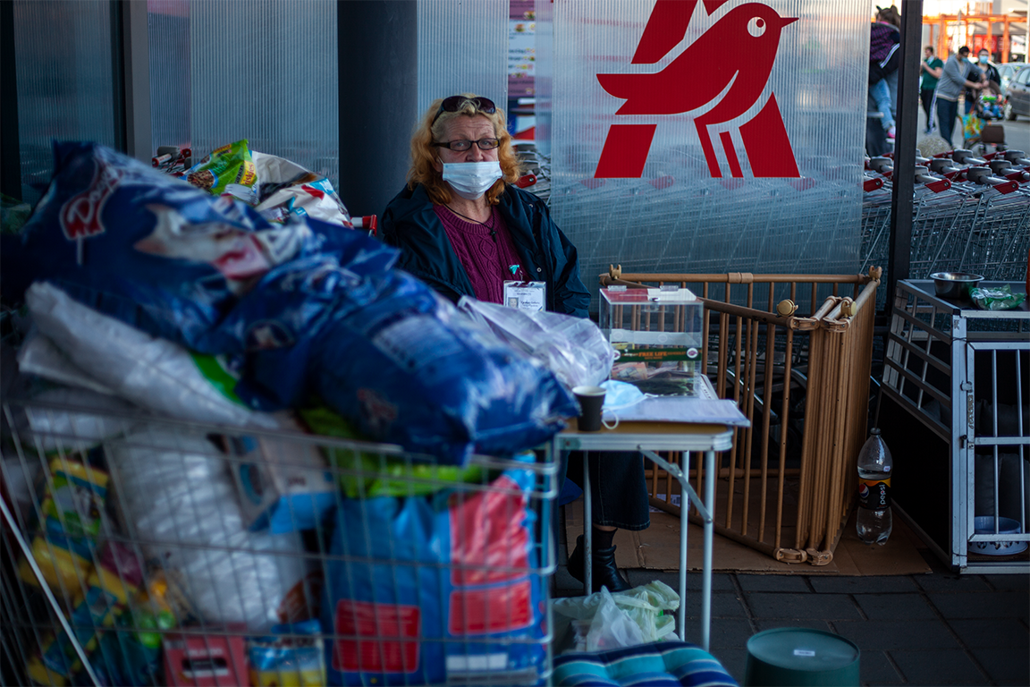 Carmen Frăţilă színésznő a múlt hétvégi örökbefogadási akción •  Fotó: Zoltán Ildikó