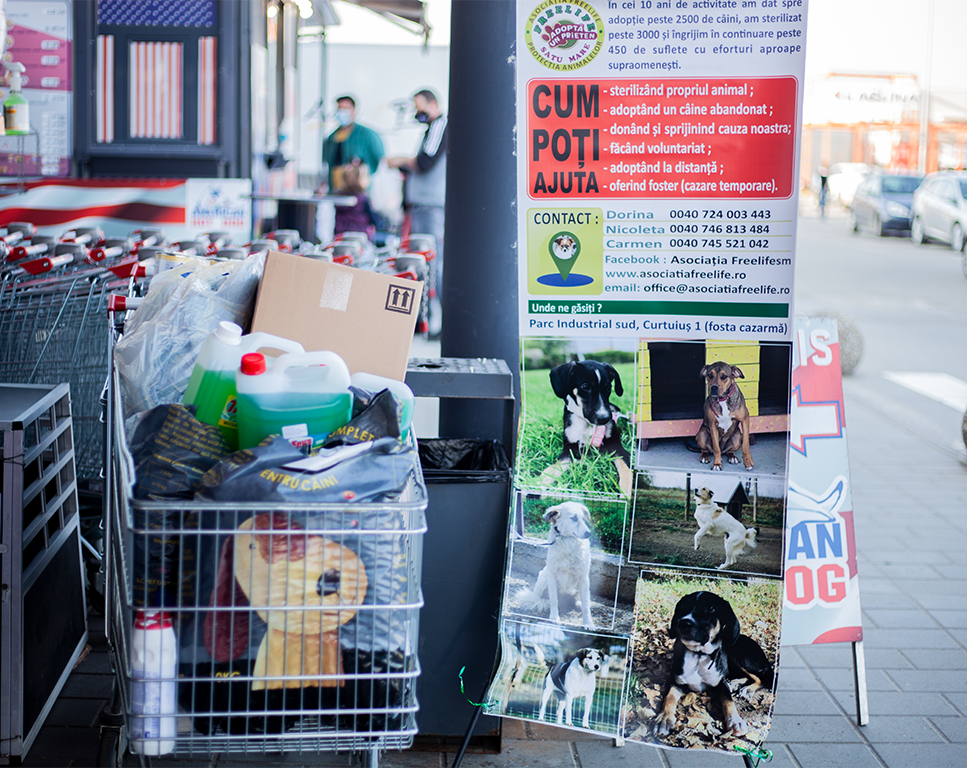 •  Fotó: Zoltán Ildikó