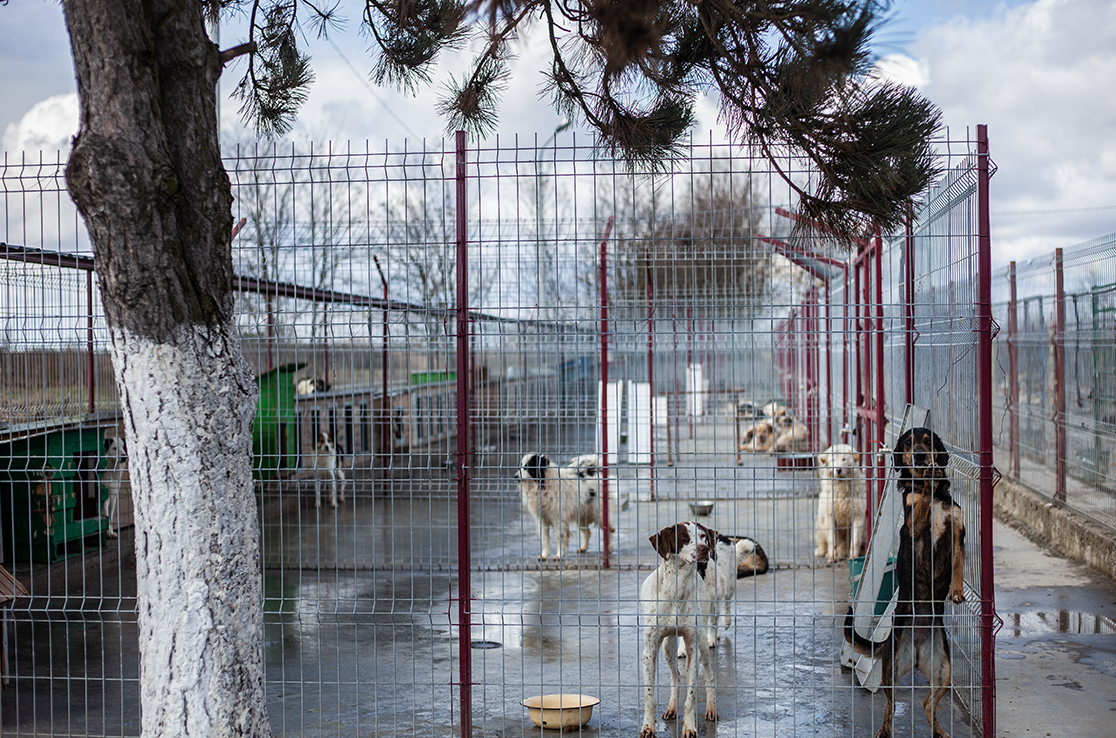 •  Fotó: Zoltán Ildikó