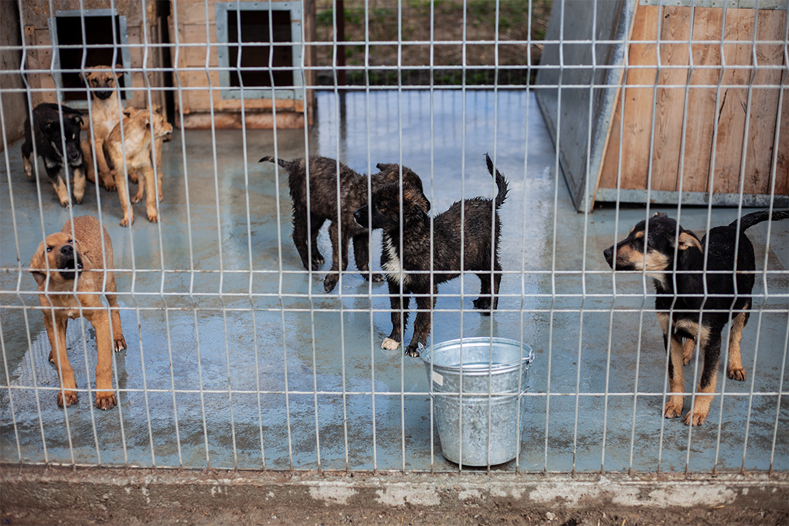 •  Fotó: Zoltán Ildikó