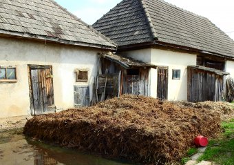 Bio-műtrágya: Nyugaton már terjed az új trend, Romániában még csak bontogatja szárnyait