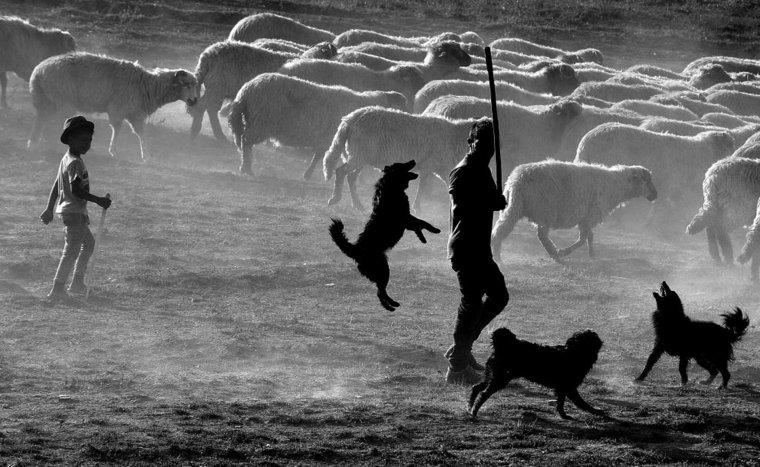 Kiállítás nyílik a Brassaï fotópályázat alkotásaiból Bukarestben