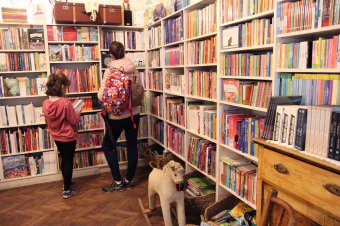 Kulturálatlanság: a romániai polgárok közel fele nem olvasott könyvet az elmúlt fél évben, háromnegyedük nem járt színházban sem