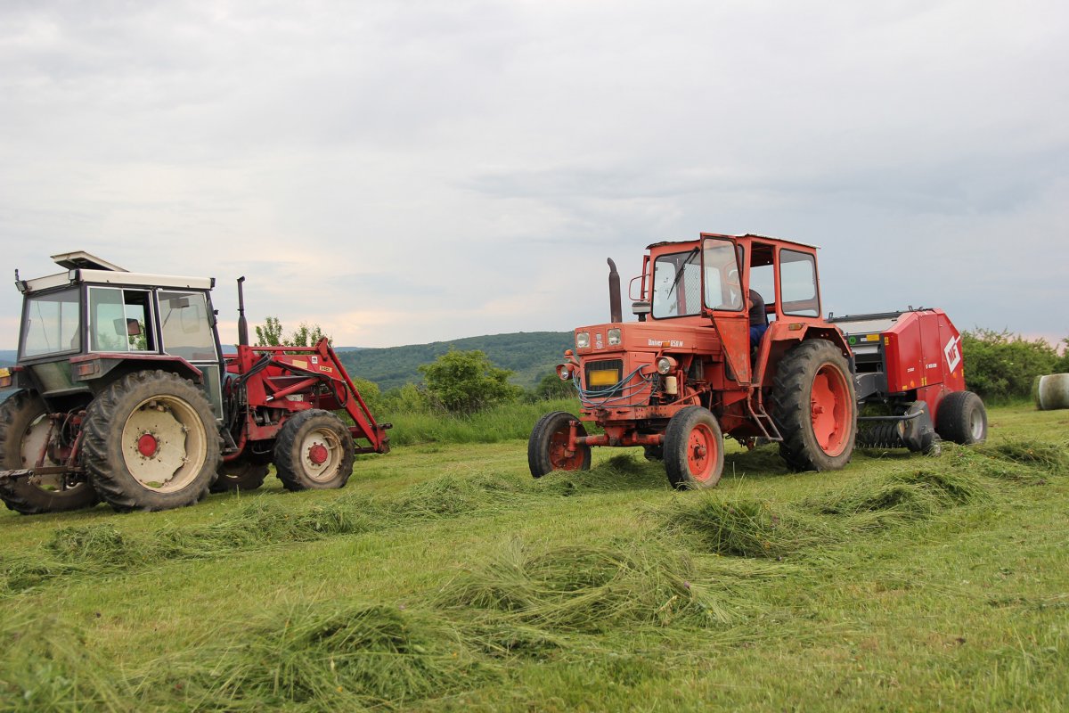 Segítenék a gazdákat, felmérik, hogy mire lenne a leginkább szükségük. Képünk illusztráció &bullet;  Fotó: Jakab Mónika