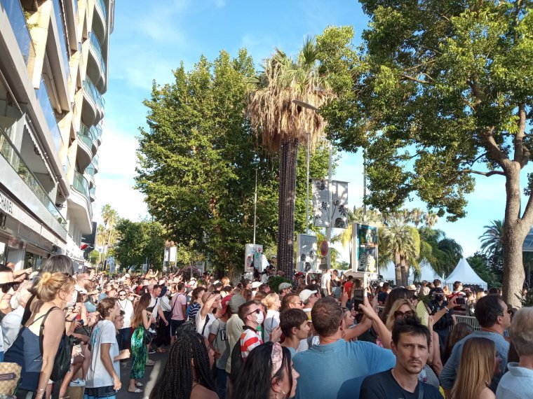 Nem egyezett a zsűri és a közönség véleménye a cannes-i szemlén (Helyszíni élménybeszámoló)