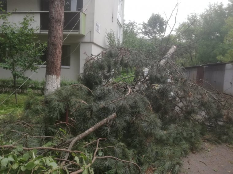 Végigsöpört a vihar a Szilágyságon, fákat, oszlopokat döntött ki