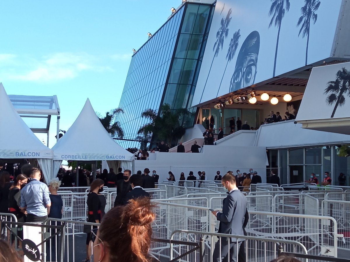 •  Fotó: Tóth Gödri Iringó