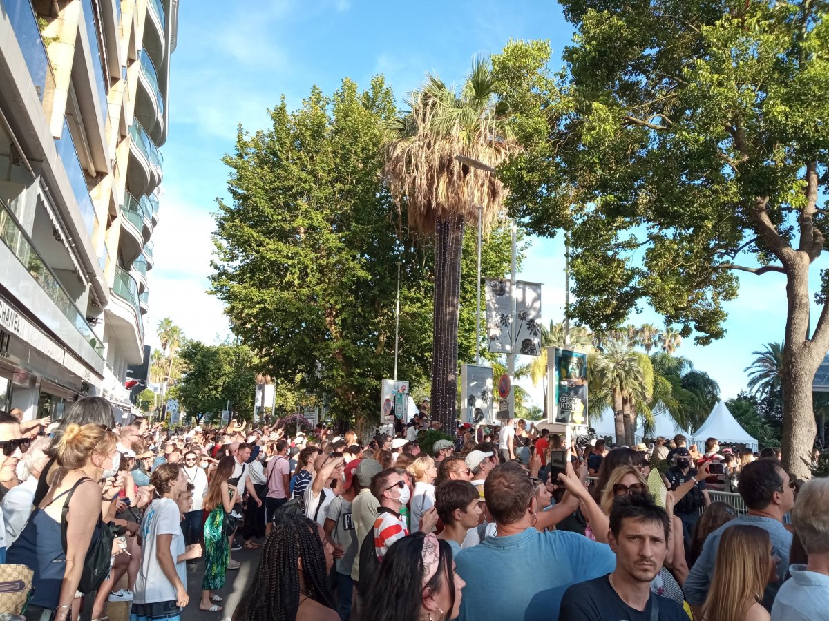 • Fotó: Tóth Gödri Iringó