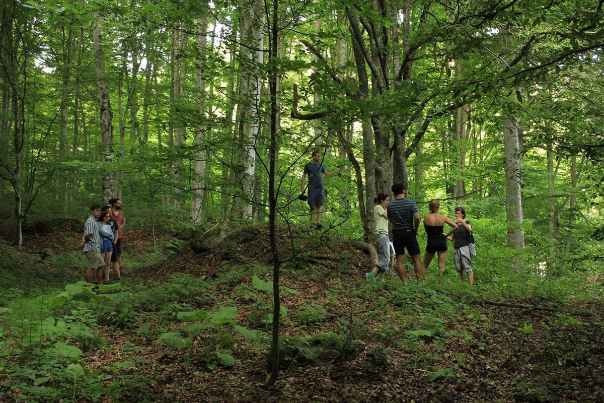 •  Fotó: Pálos György