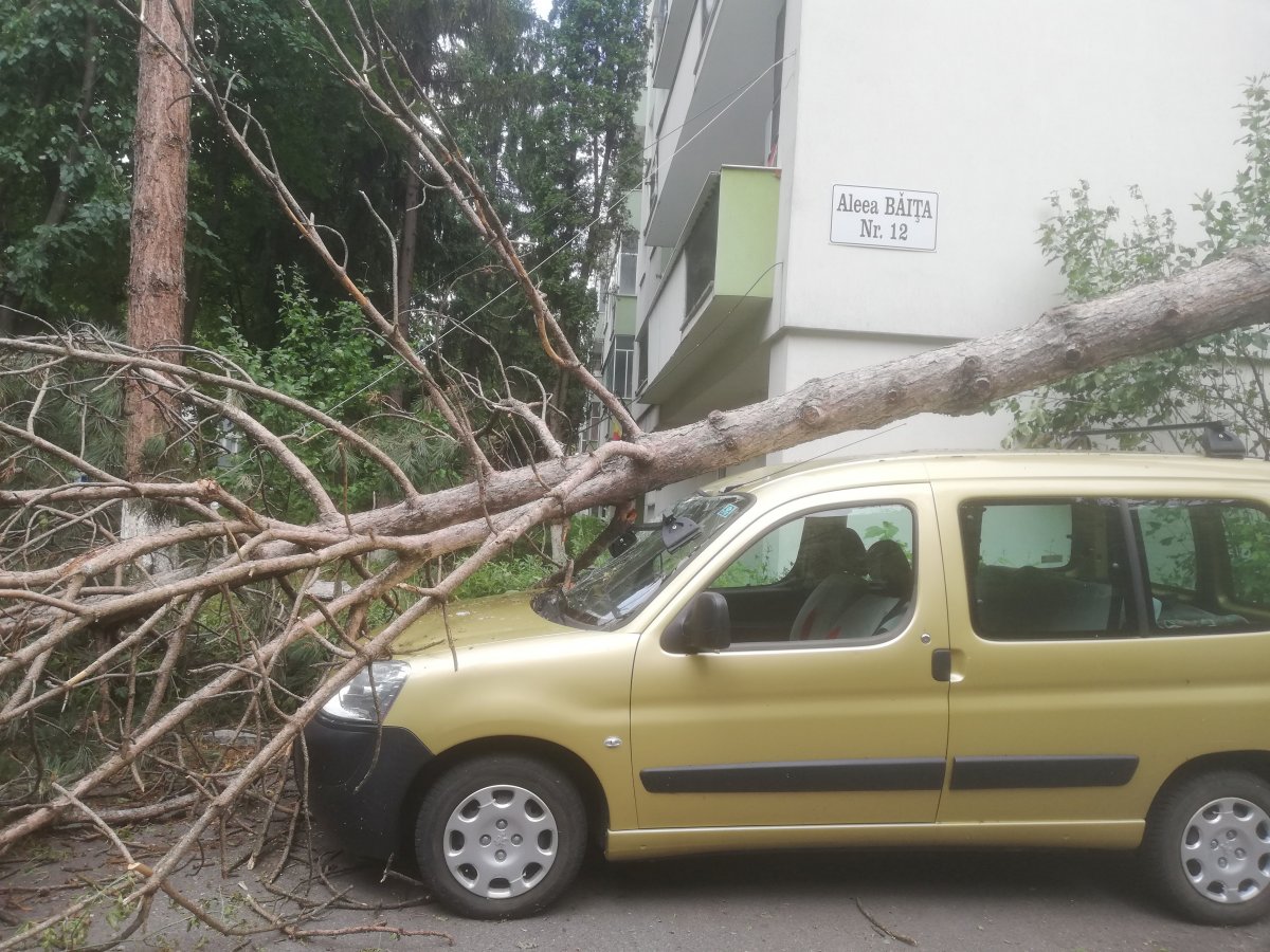 •  Fotó: Pap Melinda
