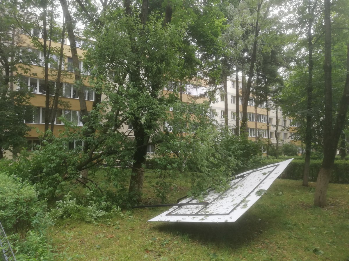 •  Fotó: Pap Melinda