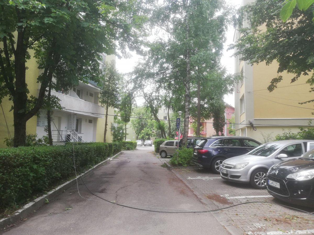 •  Fotó: Pap Melinda