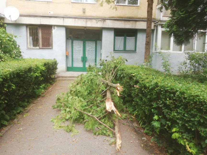 •  Fotó: Pap Melinda