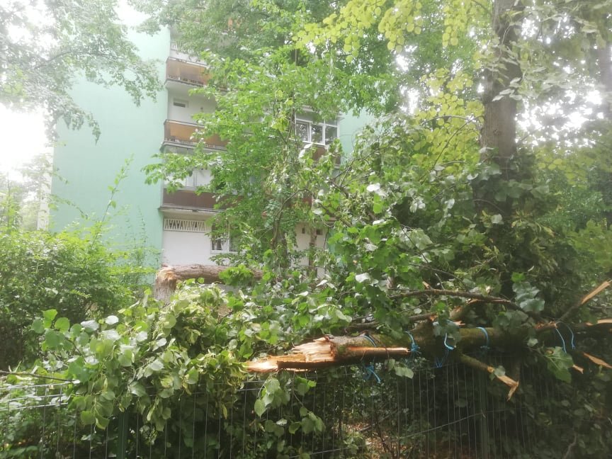 •  Fotó: Pap Melinda