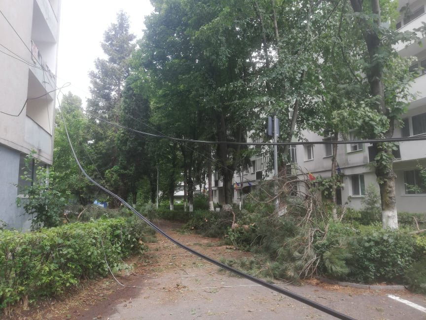 •  Fotó: Pap Melinda