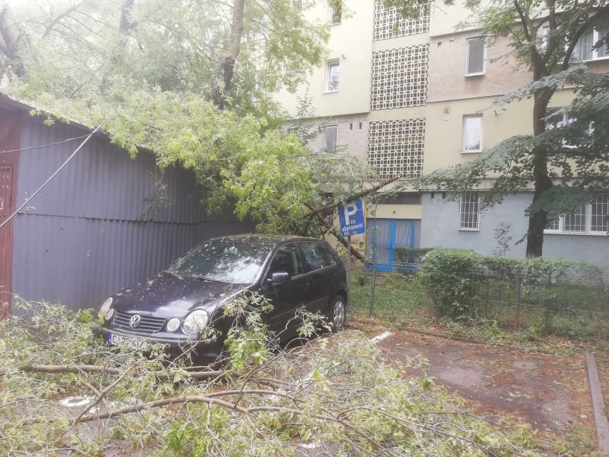 •  Fotó: Pap Melinda