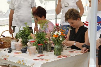 Vissza a természethez: hajdan élt füvesasszonyok tudása sajátítható el