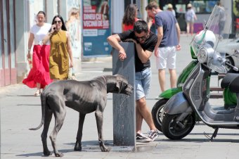 Széles skálán mozog a hőmérséklet augusztus elején