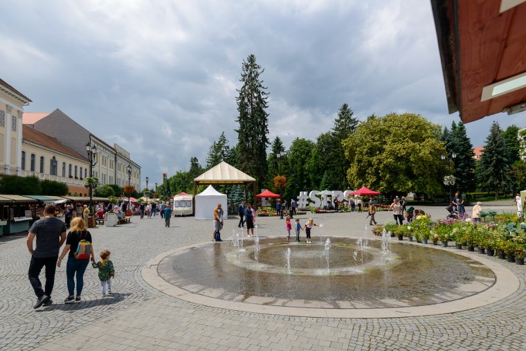 Számháború a minimálbéresekről: súlyos következményei lehetnek Kelemen Tibor nyilatkozatának a bejelentést cáfolók szerint