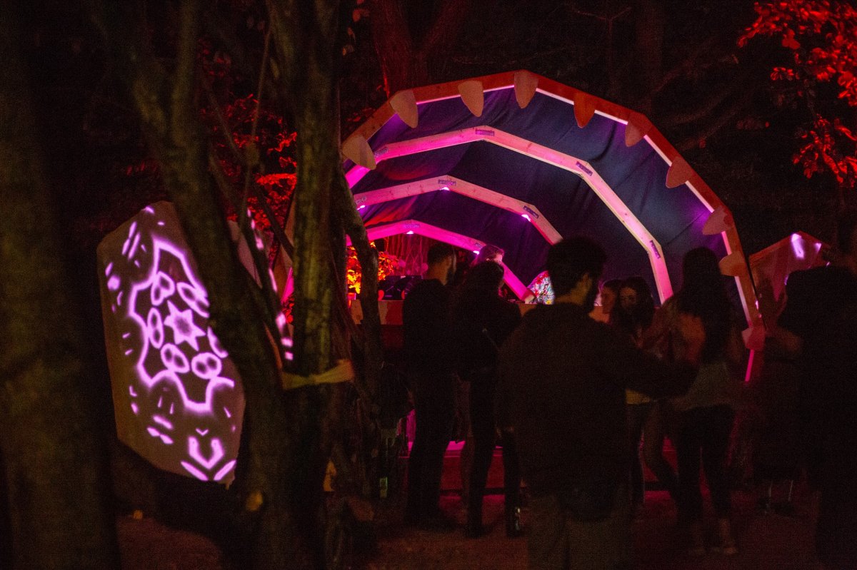 •  Fotó: Mumush / Facebook