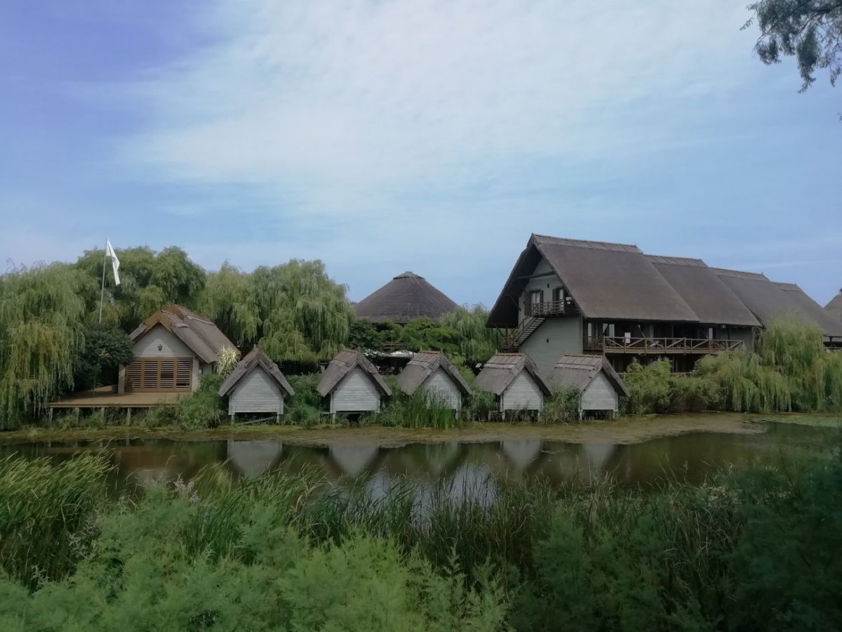 •  Fotó: Oláh Eszter