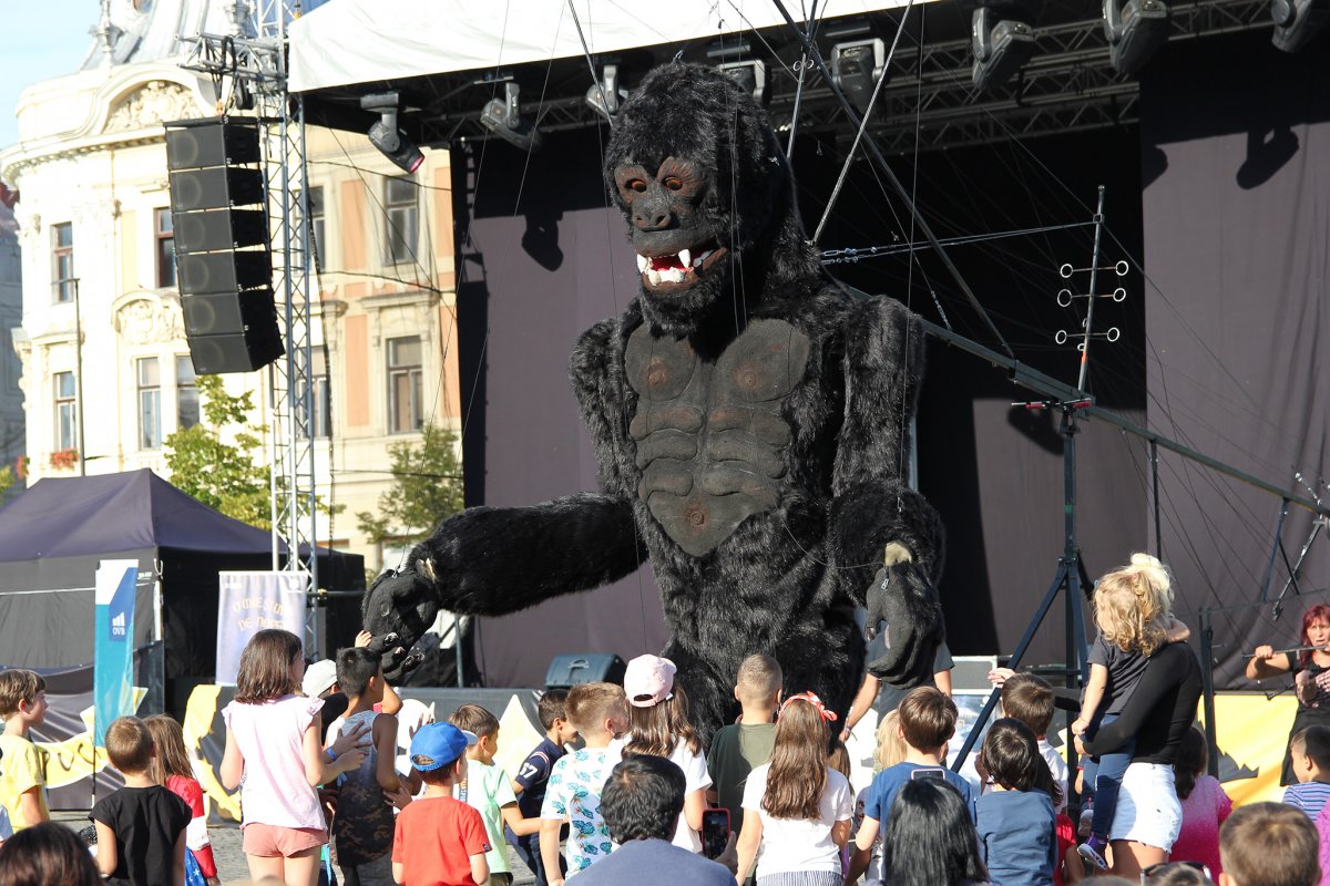 •  Fotó: Jakab Mónika