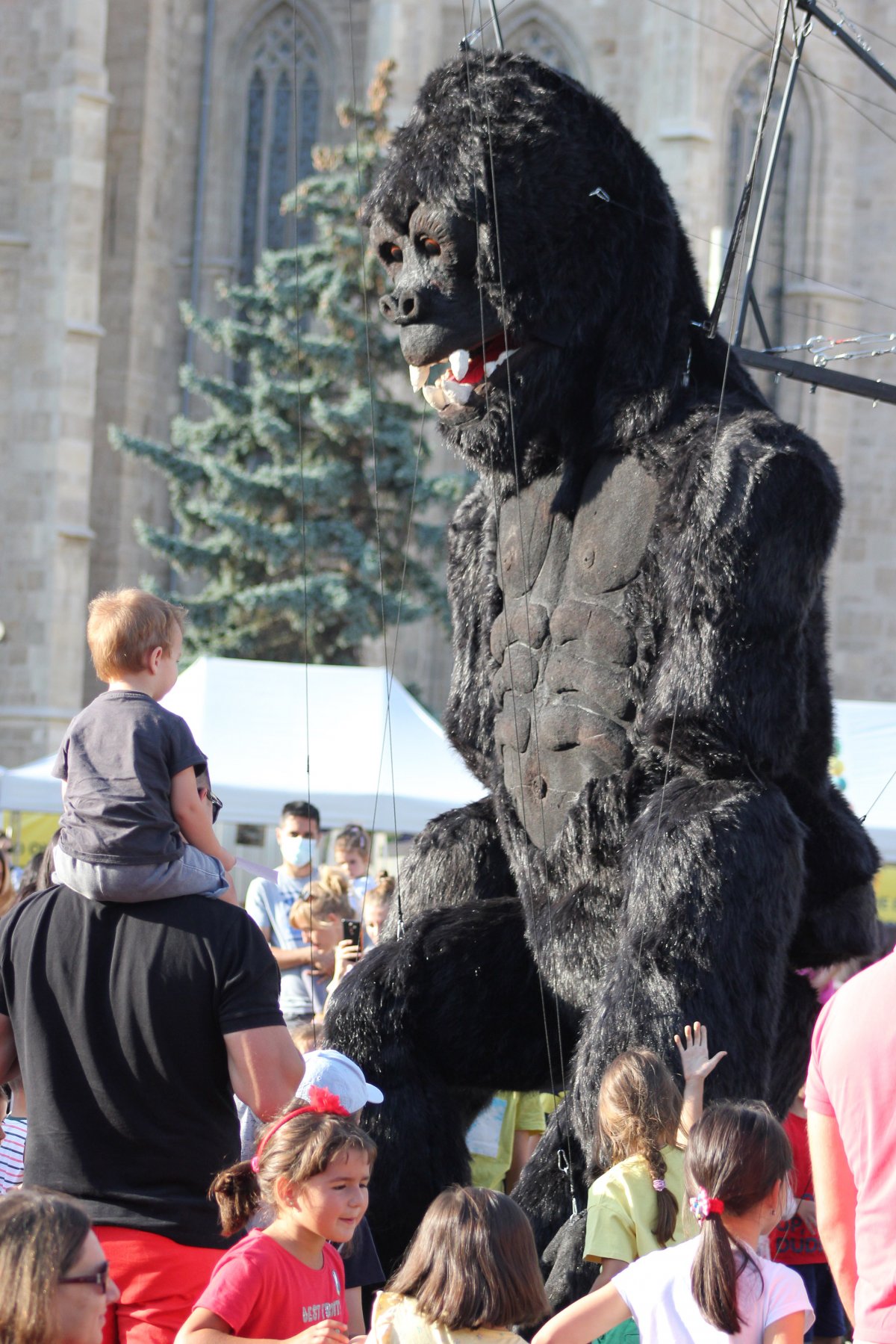 •  Fotó: Jakab Mónika