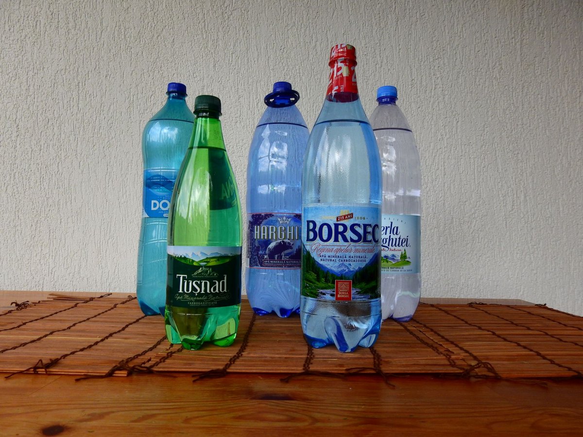A Keleti-Kárpátok vonulatának termékei a legjobb borvizek •  Fotó: Kisréti Zsombor