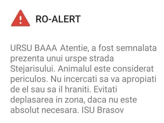 „Medve, hééé!” – így értesítették a brassóiakat a Ro-Alerten keresztül, hogy medve kószál a városban