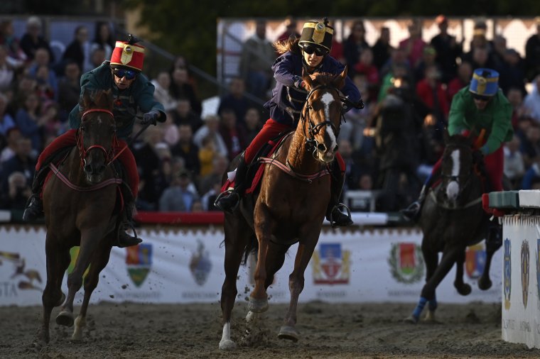 Szabadkai siker a 14. Nemzeti Vágtán, Farkaslaka lovasa a harmadik