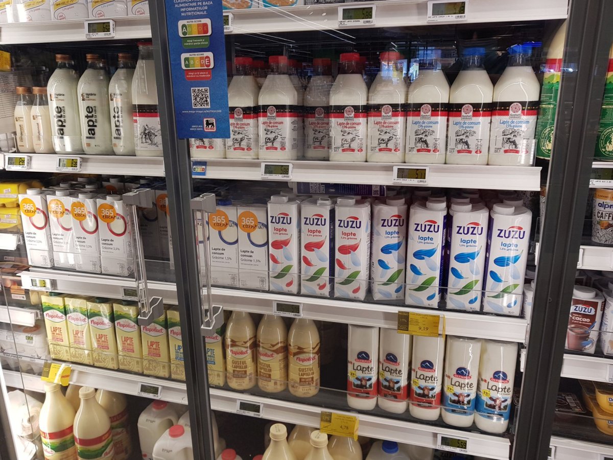 •  Fotó: Kisréti Zsombor